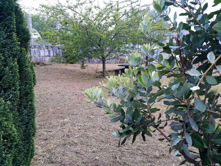 Casa Pio, Vistas Islas Cies Nigrán エクステリア 写真